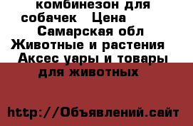 комбинезон для собачек › Цена ­ 200 - Самарская обл. Животные и растения » Аксесcуары и товары для животных   